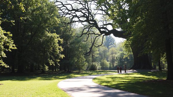 Découvrez les bienfaits de la sylvothérapie à nantes pour votre bien-être